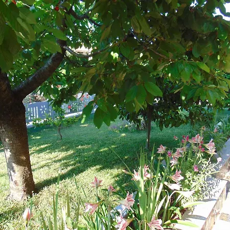 In - Istrien 11656 Apartamento