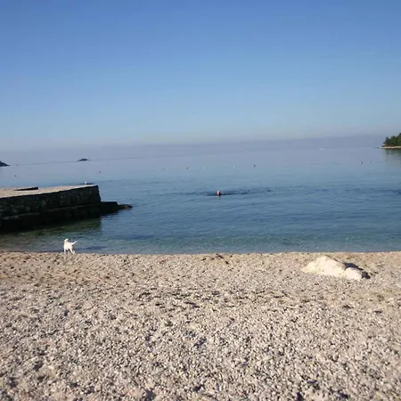 In Rovinj/istrien 11656